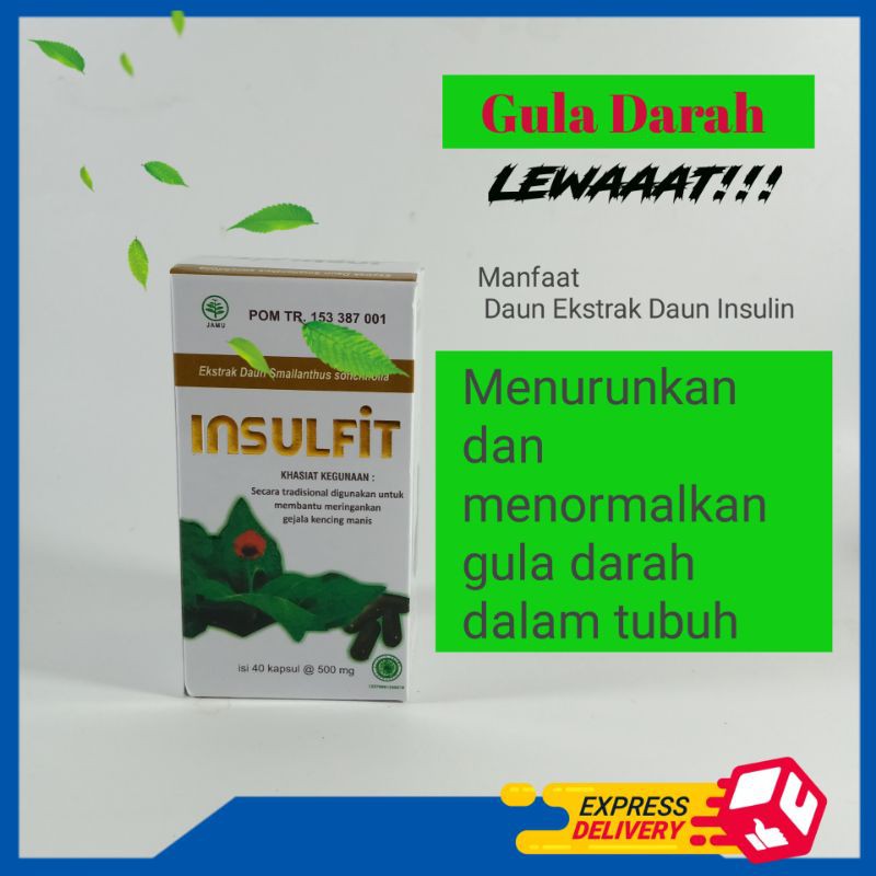 

Ekstrak Daun Insulin Insulfit Solusi herbal Diabetes / Gula darah