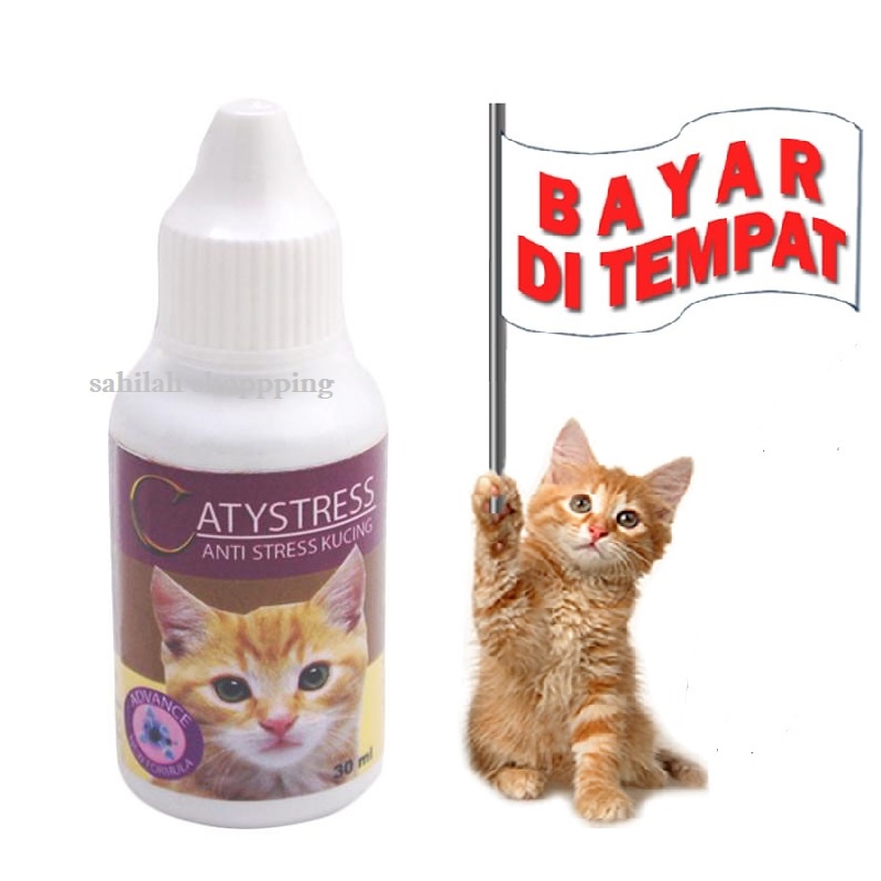 OBAT STRESS KUCING ANTI STRESS KUCING LEMAS AMPUH TERMURAH CATYSTRESS