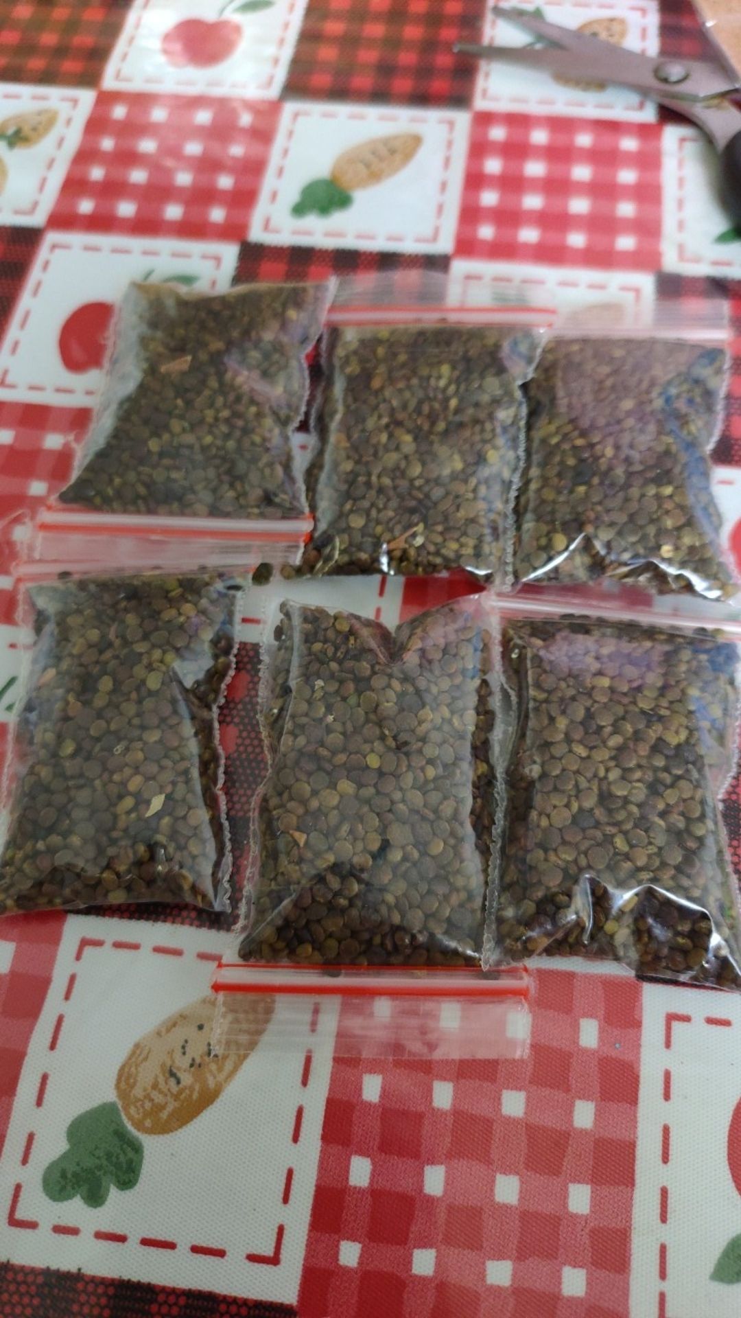 Indigofera Paket Murah