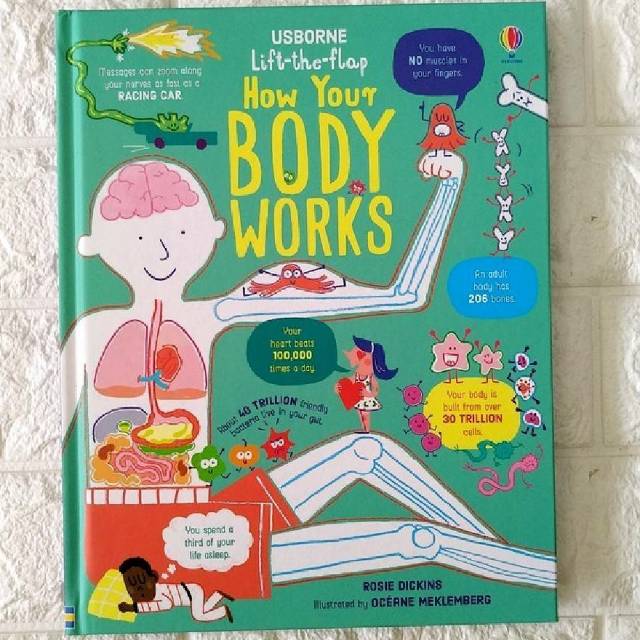 Usborne Lift the Flap How Your Body Works