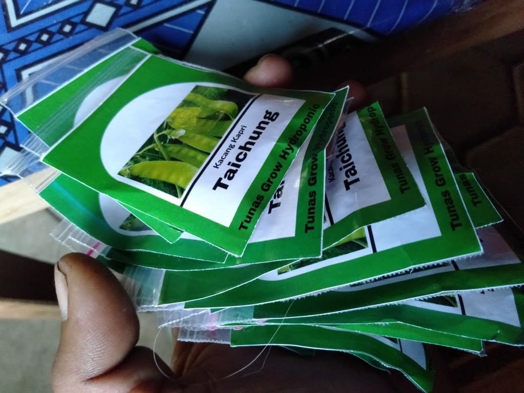 Benih Kacang Kapri Repack - 25 Biji