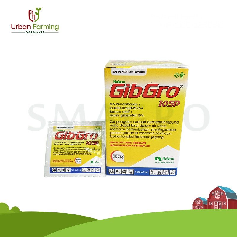 GIBGRO 10SP 1 Gram Zat Pengatur Tumbuh Buah