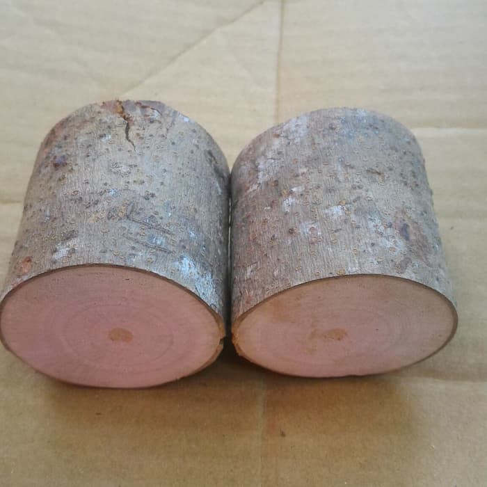 Medium Wood log tinggi 5 cm diameter 6-7 cm dekorasi craft