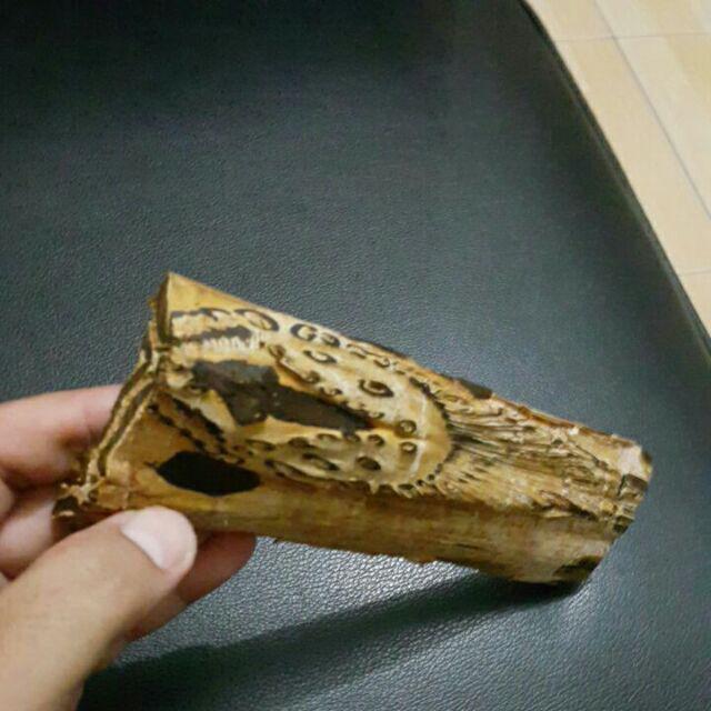 Kayu Naga Pengusir Tikus
