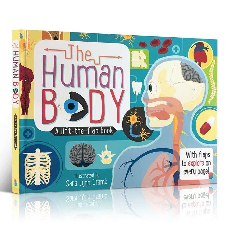 A lift flap book: The Human Body