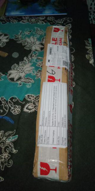 Anggrek Dendrobium Seddling Murah