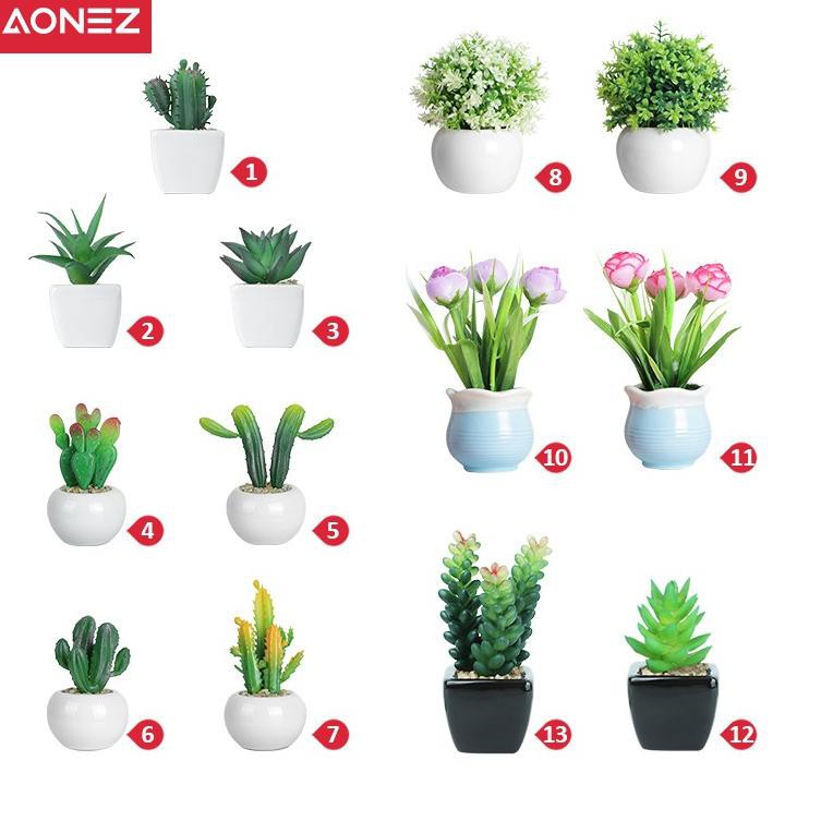 LNV Aonez bunga hiasan tanaman kaktus hias dengan pot keramik tanaman sukulen Ceramic Pot➚✎ (Ready S