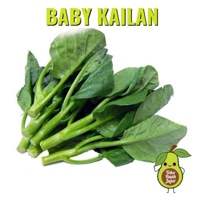 

BABY KAILAN FRESH