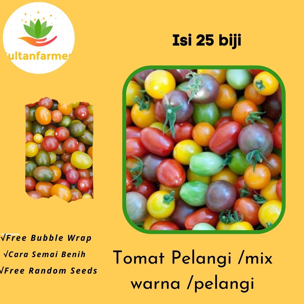 25 biji tomat Rainbow/Tomat Pelangi /mix warna /pelangi