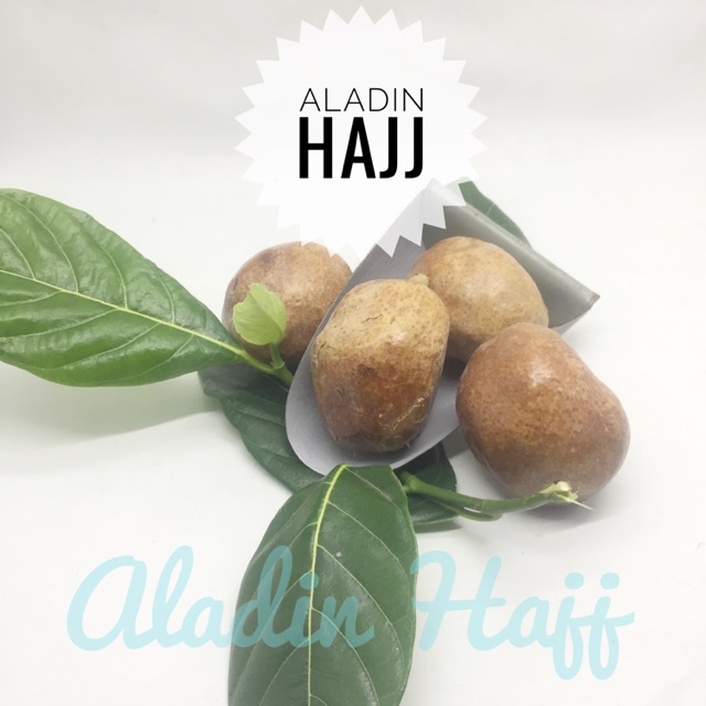 

BUAH ZURIAT/ ZURIAT SINGLE / DOUM ASLI MADINAH PAKET