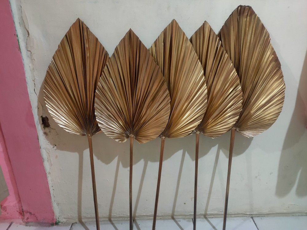 Daun Palem Gold L.25 Cm/dried Palm Leaves / Cuting Bagus