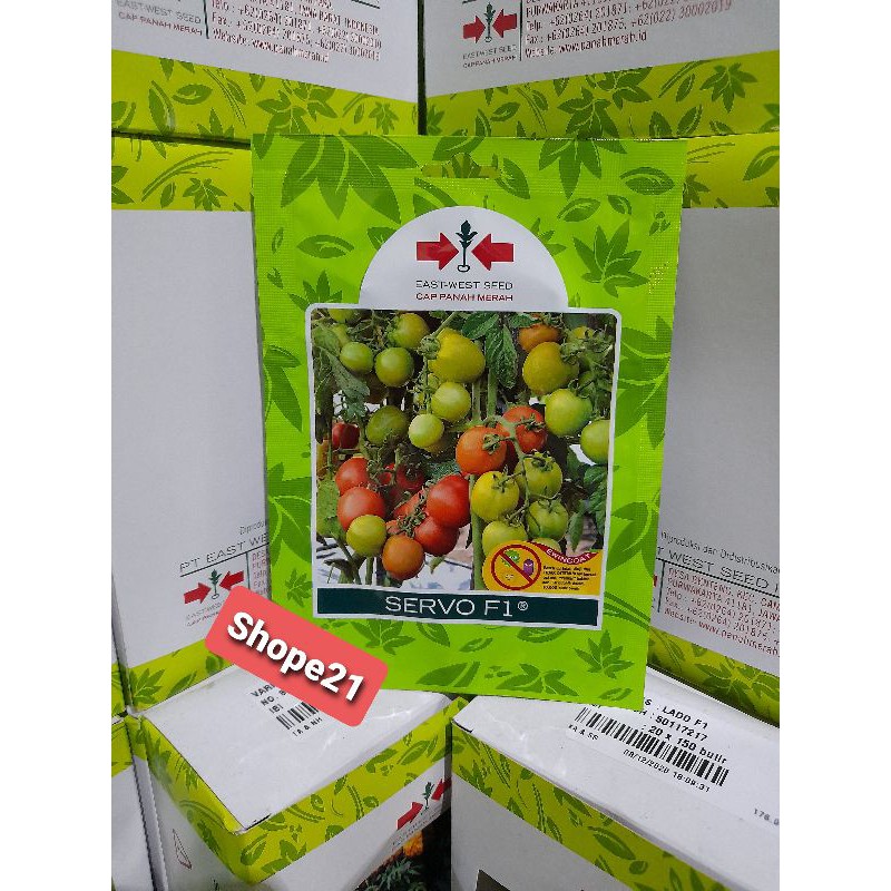 Benih Tomat Servo f1 isi 150 biji