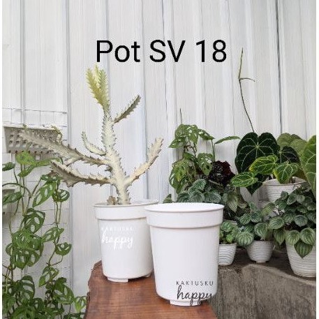 POT SV 18 PUTIH - POT TINGGI PUTIH
