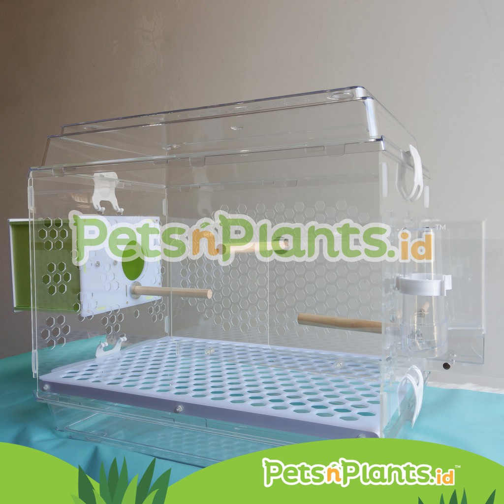 Kandang Burung Akrilik Acrylic Bird Cage Kenari Love Bird Parkit Crystal Clear Import 47x31x44 CM