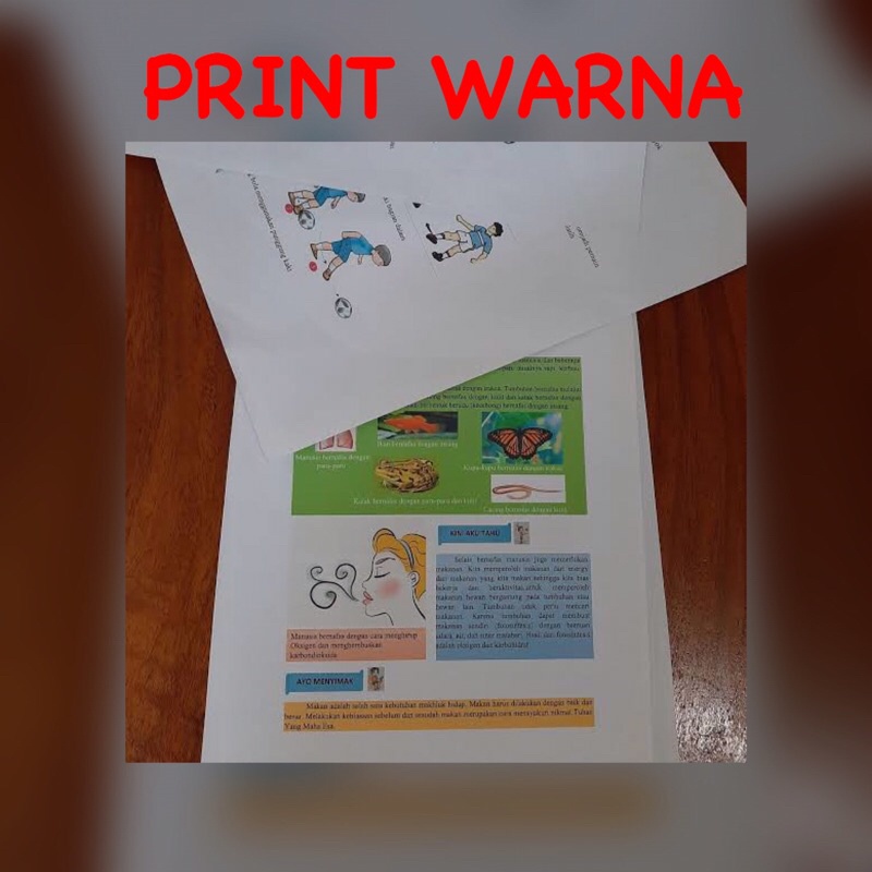 

JASA CETAK/PRINT (WARNA) SKRIPSI, MAKALAH, PROPOSAL