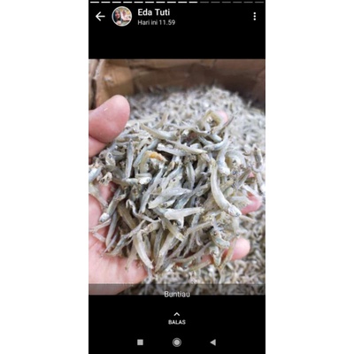 

IKAN TERI BUNTIAU MEDAN ASLI 250 GR