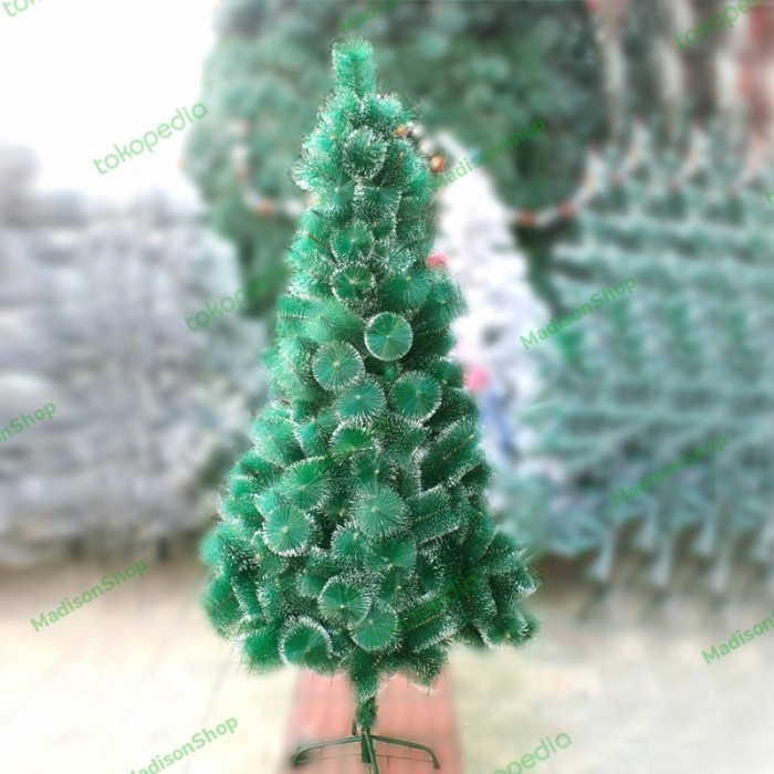 Pohon Natal Pinus White Pine Needle Christmas Tree Salju GROSIR