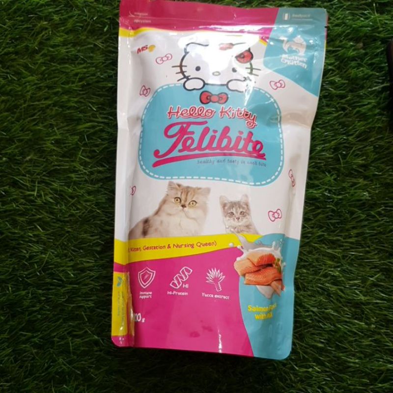 felibite Mother & kitten