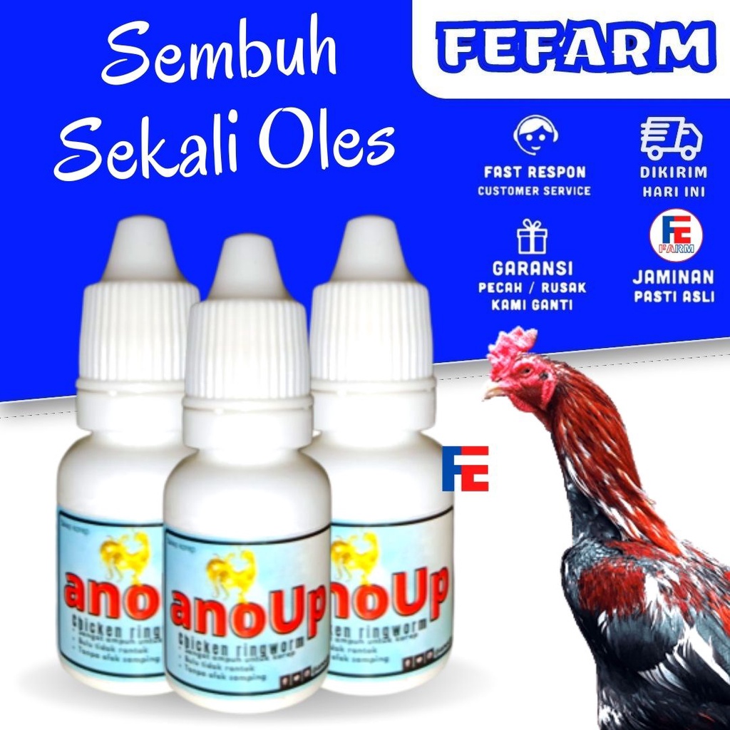 Obat Korep Ayam Ampuh Bulu Tidak Rontok Tanpa Efek FEFARM