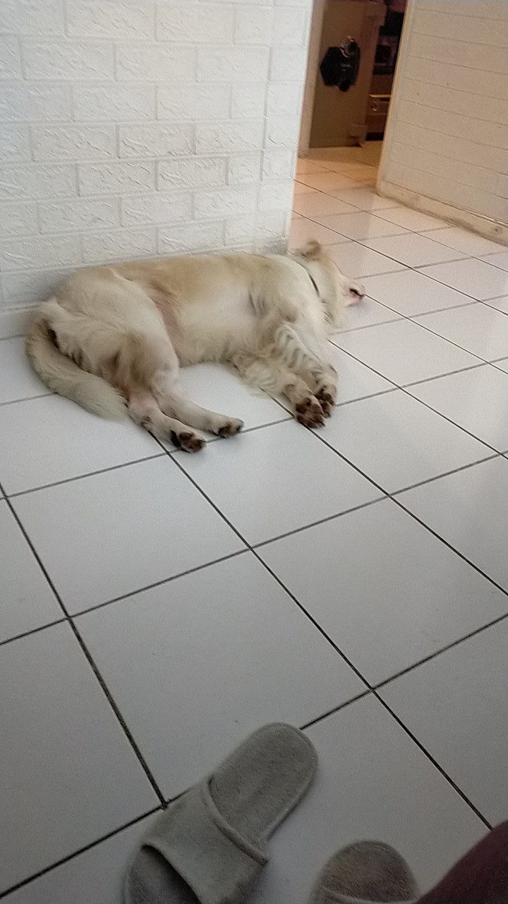 Dress Batik Wanita Batik Wanita 020