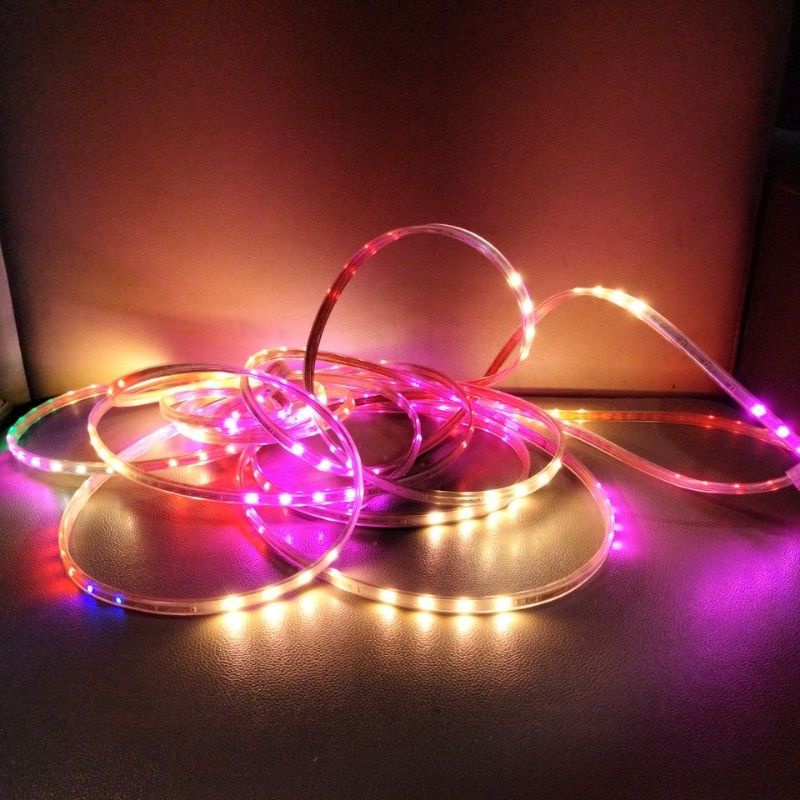 Lampu Selang LED Strip Light Wandi