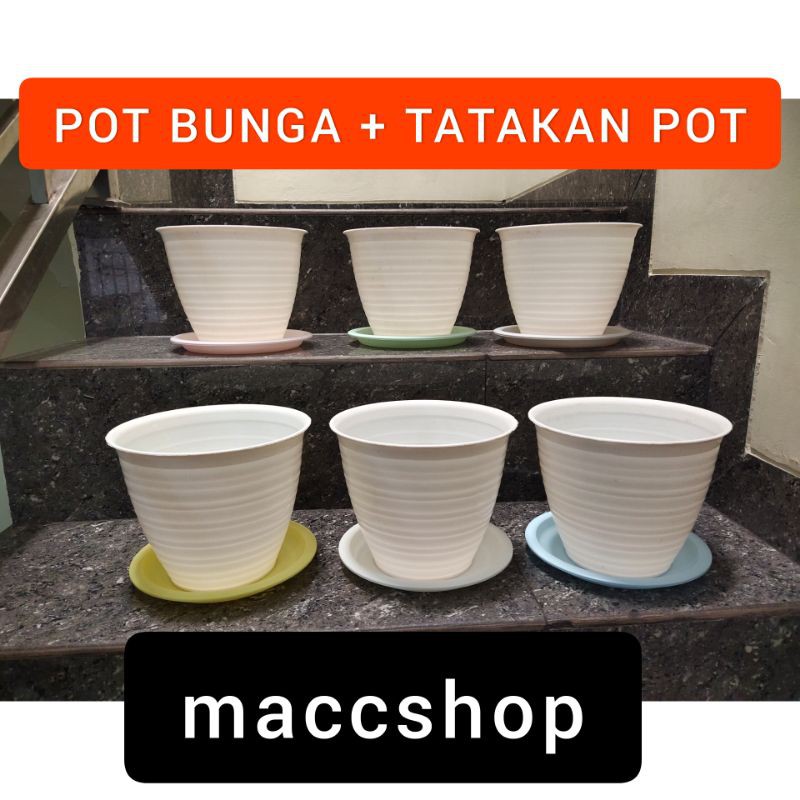 6PCS POT BUNGA 20CM Dengan Tatakan Alas Colorful - Tanaman Pirus Tawon Madu - Putih