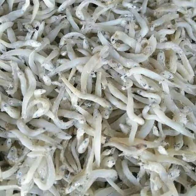 

Teri Medan