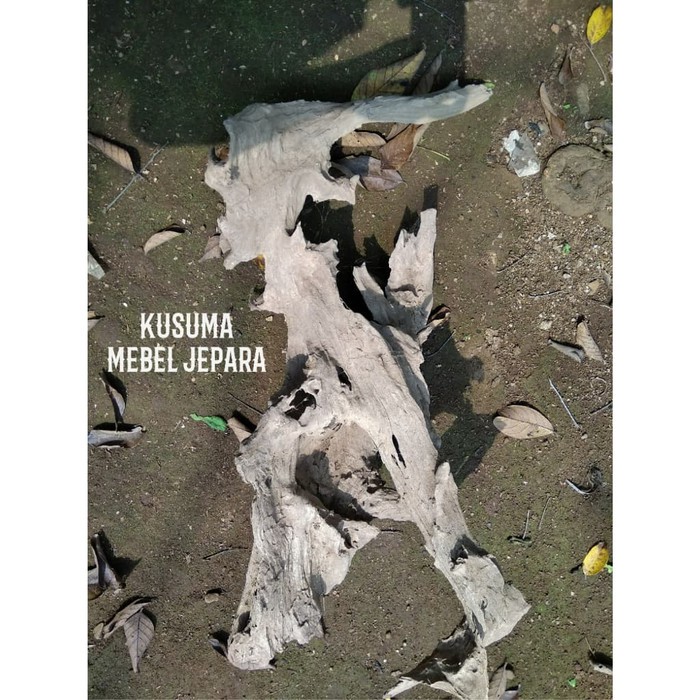 Bahan Aquascape Akuarium Akar Kayu Jati Solid No.2 (Panjang 40cm)