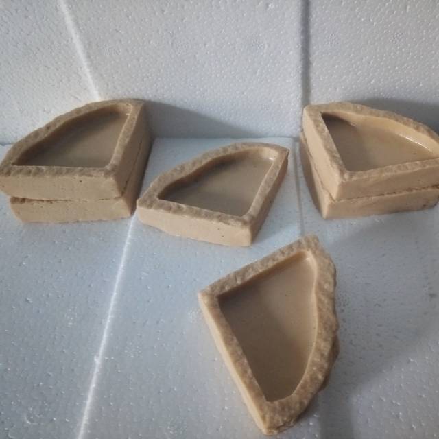 Watter/feeding disk mini untuk baby reptil kecil , cocok buat gecko,baby torto ,bearded dragon baby