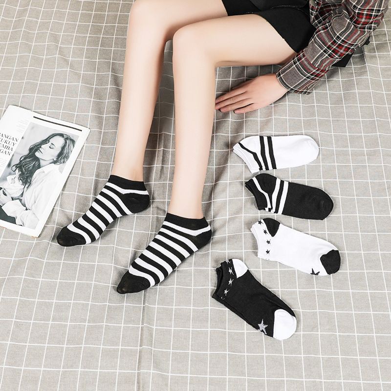 BEE - Kaos Kaki Polos Garis Blaster Sock Murah Jakarta Kaos Kaki Fashion Wanita Pendek SC 18