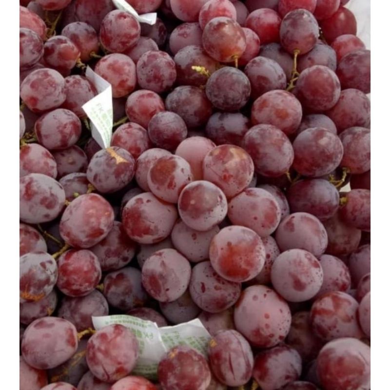 

anggur merah 250gr