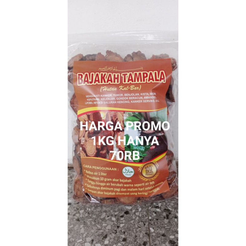 

BAJAKAH TAMPALA (1KG) ASLI KALIMANTAN