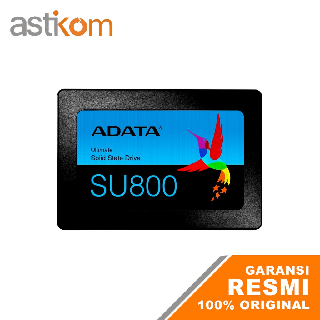 SSD MURAH Adata SU800 512GB | By Astikom