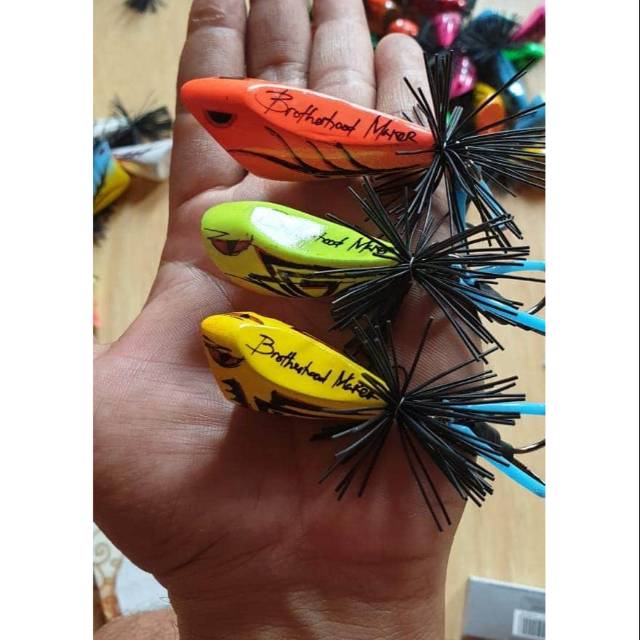 Jump frog Geol Brotherhood