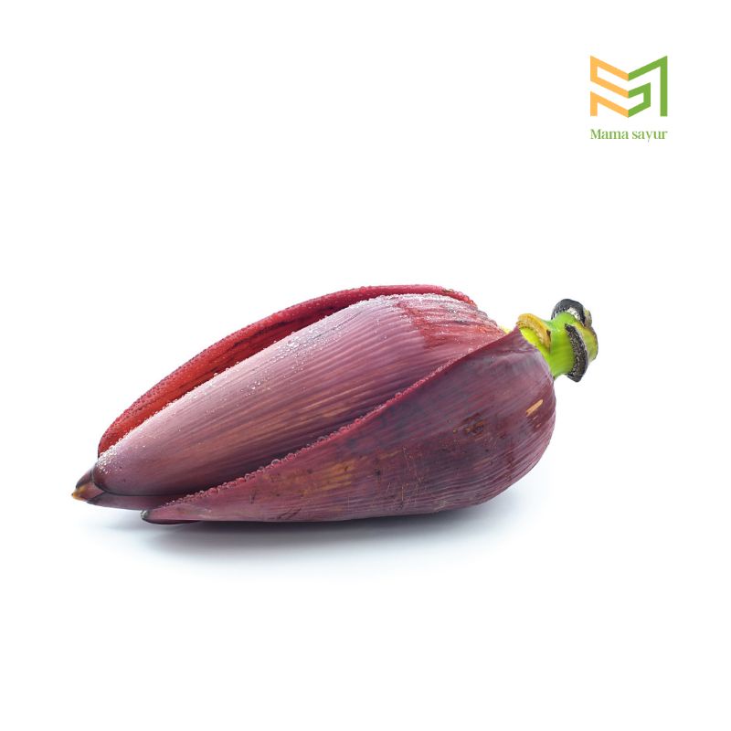 

Jantung pisang segar per buah