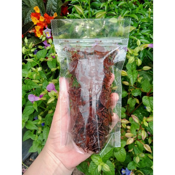 

KERIPIK PISANG LUMER (Coklat)