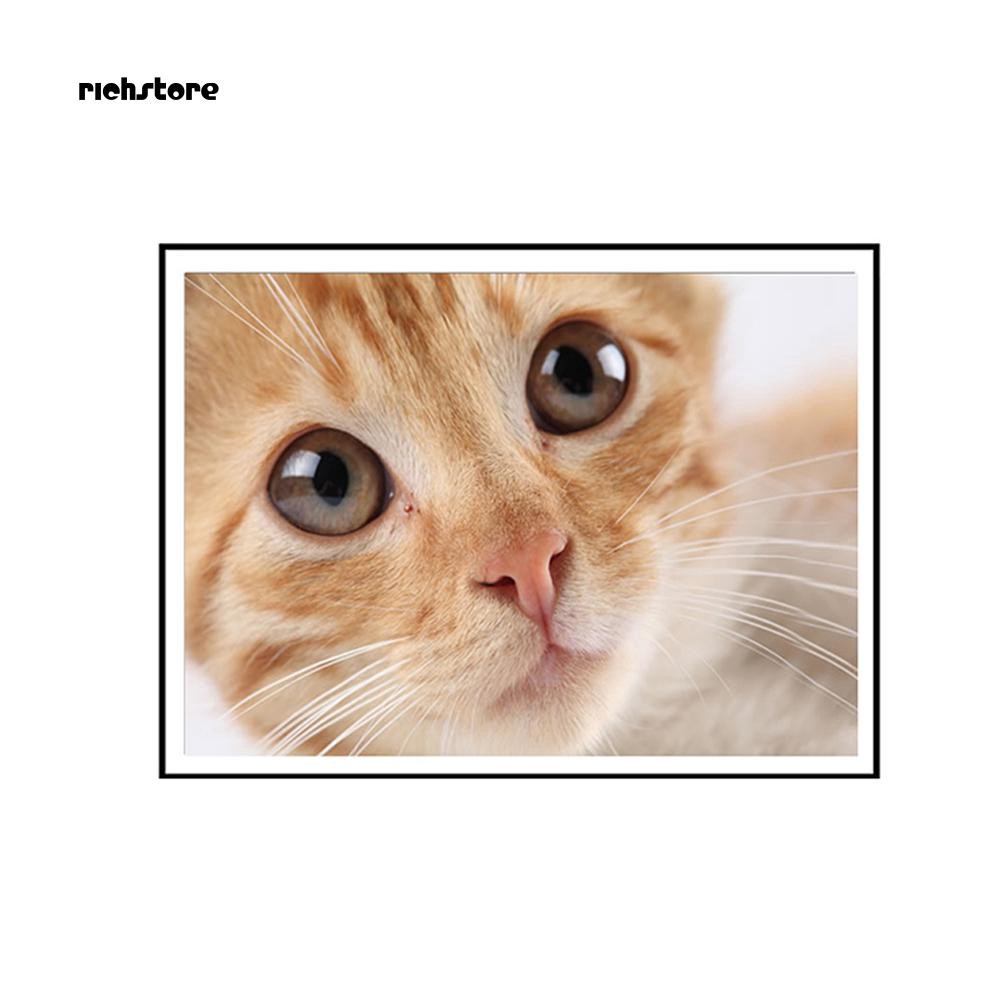 Unduh 52 Koleksi Gambar Gambar Lucu Kucing Terbaik Gratis HD