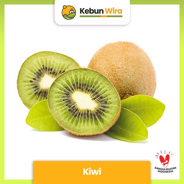 

Buah Kiwi