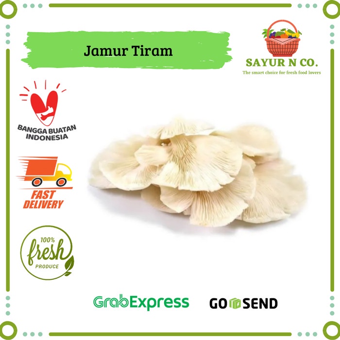 

Jamur Tiram | Sayur N Co Bekasi