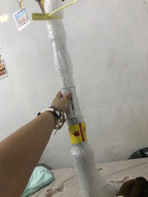 Payung Tongkat Transparant Mangkok  Motif Anjing Kucing - 75002