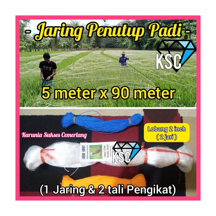 Jaring Burung Emprit / Jaring Penutup Sawah / Jaring Padi Petani