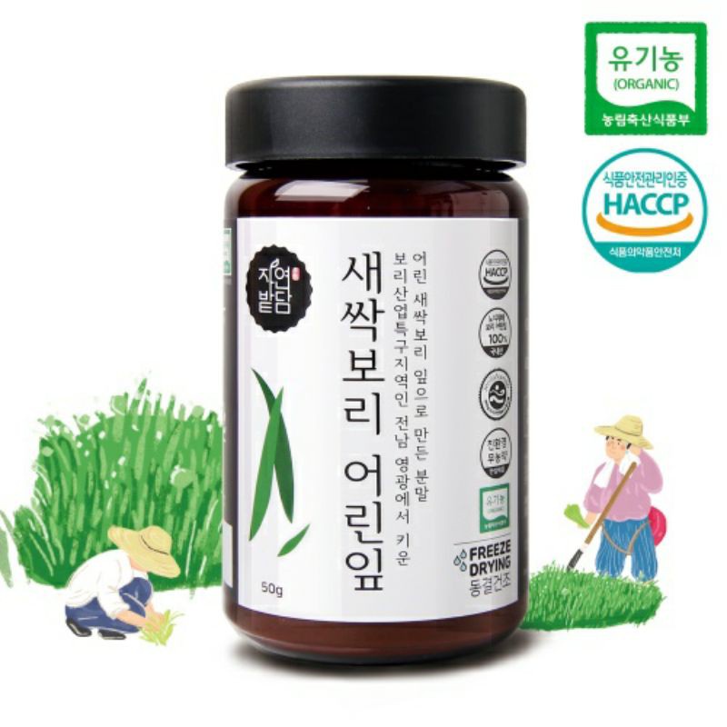 [Ready stock] Organic Korea Saessak Bori Tea Powder Barley Grass Wheat Grass 50g