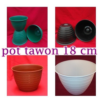  pot  tawon  DIA 18  CM  plastik tanaman hias bunga  sukulen 