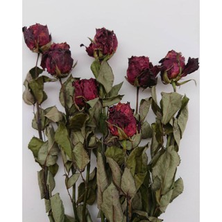 Bunga Mawar Rose Kering Dekorasi Craft Mahar Buket Bunga Bunga Mawar Rose Kering Dekorasi Craft Mahar Buket Bunga