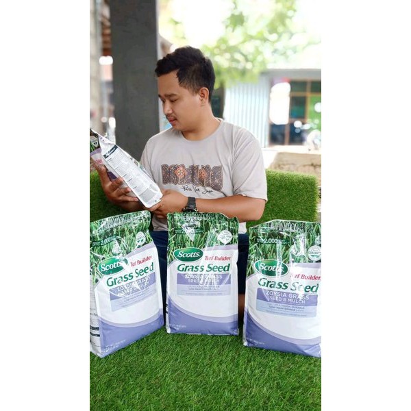 Benih Bibit Biji Rumput Zoysia Matrella untuk stadion lapangan sepak bola