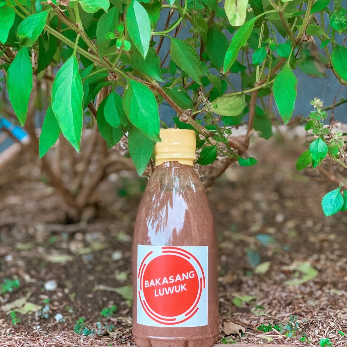 

5ds45ss Bakasang Xa20X1