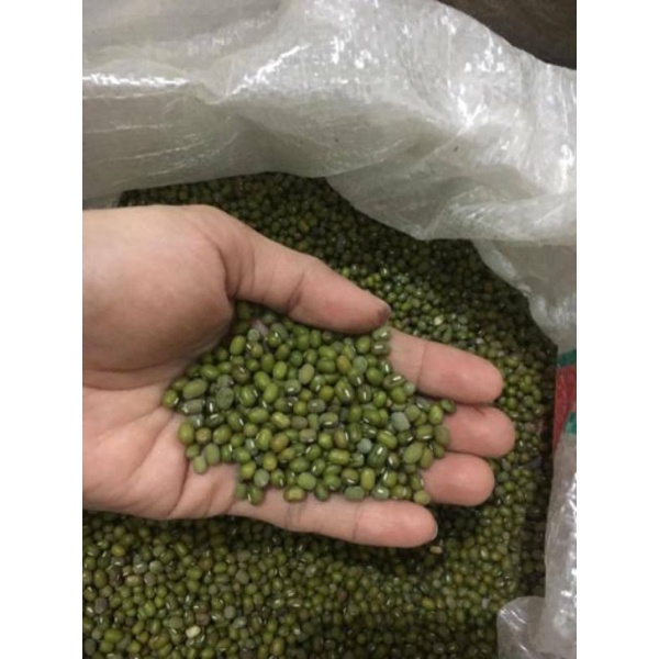 

KACANG HIJAU KILOAN PER 250 GRAM