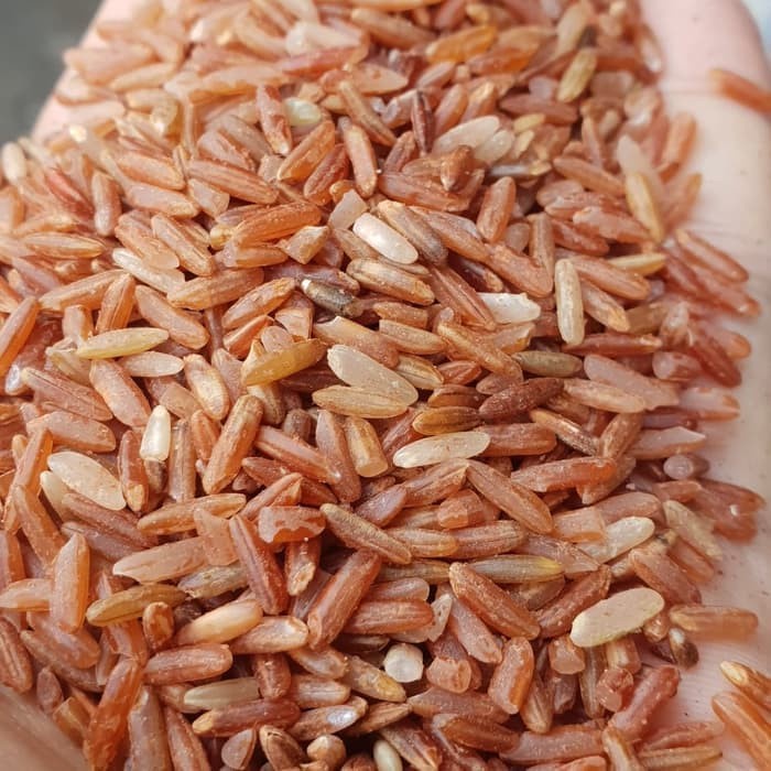 

Beras Merah Sosoh 1 liter ( Lepas Kulit )