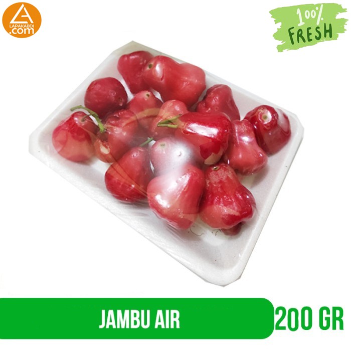 

Jambu Air Merah 1 Pack 200gr-300gr Buah Segar Garansi Termurah