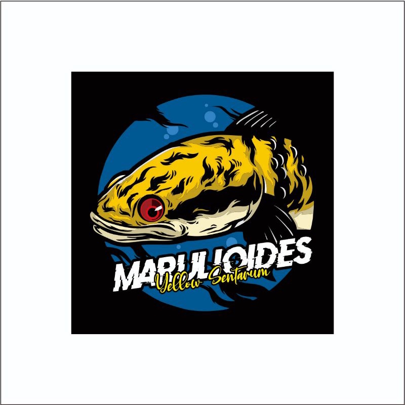 Stiker Ikan | Channa Marulioides#2